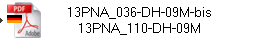 13PNA_036-DH-09M-bis
13PNA_110-DH-09M