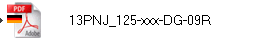 13PNJ_125-xxx-DG-09R