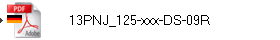 13PNJ_125-xxx-DS-09R