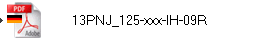 13PNJ_125-xxx-IH-09R