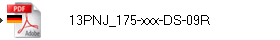 13PNJ_175-xxx-DS-09R