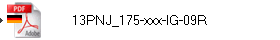 13PNJ_175-xxx-IG-09R