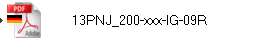 13PNJ_200-xxx-IG-09R