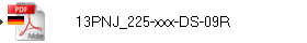 13PNJ_225-xxx-DS-09R