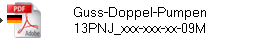 Guss-Doppel-Pumpen
13PNJ_xxx-xxx-xx-09M