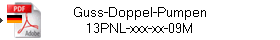 Guss-Doppel-Pumpen
13PNL-xxx-xx-09M