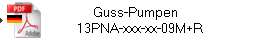 Guss-Pumpen   
13PNA-xxx-xx-09M+R