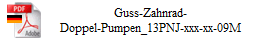 Guss-Zahnrad-
Doppel-Pumpen_13PNJ-xxx-xx-09M
