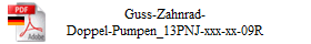 Guss-Zahnrad-
Doppel-Pumpen_13PNJ-xxx-xx-09R